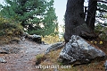 wbgarden alps 81